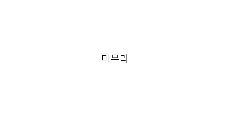 
  마무리
 이미지