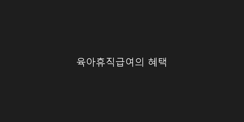
  육아휴직급여의 혜택
 이미지