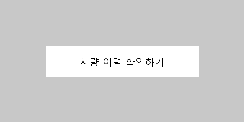 
  차량 이력 확인하기
 이미지
