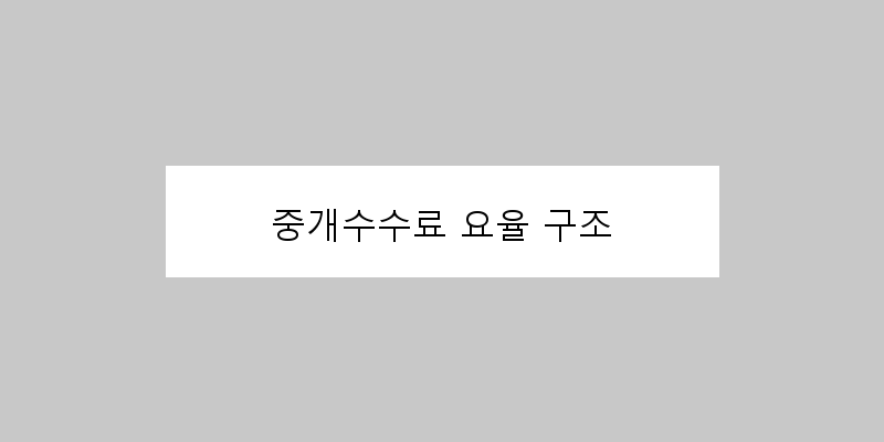 
  중개수수료 요율 구조
 이미지