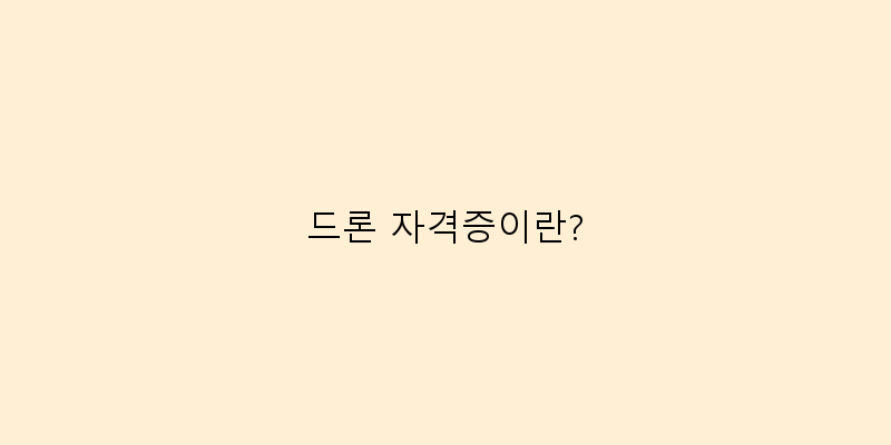 드론 자격증이란? 이미지