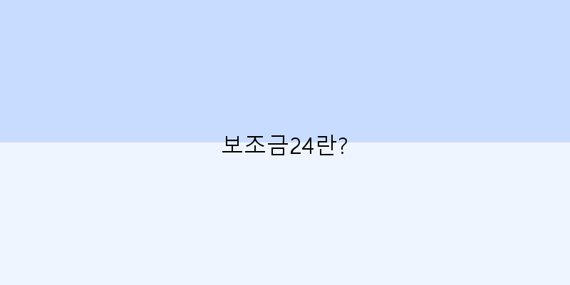 
  보조금24란?
 이미지