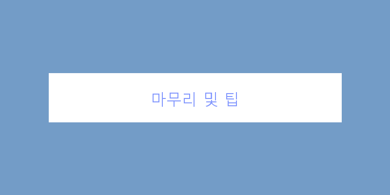 
  마무리 및 팁
 이미지