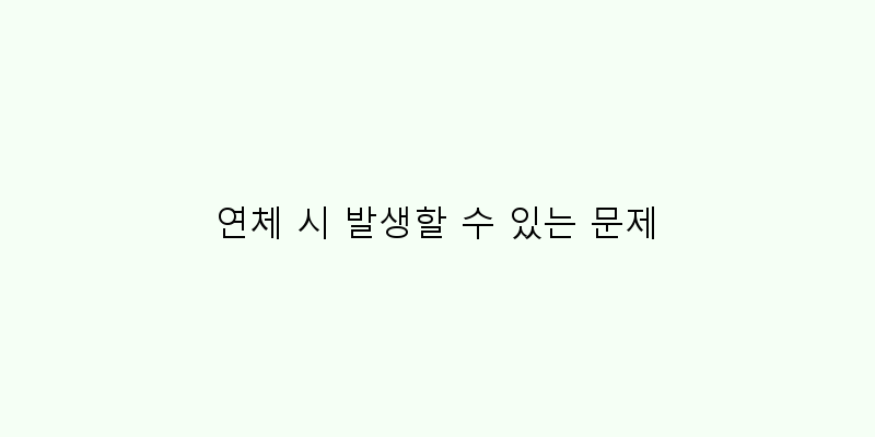 
  연체 시 발생할 수 있는 문제
 이미지