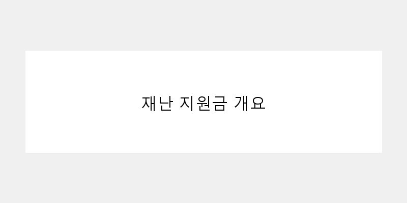 
  재난 지원금 개요
 이미지