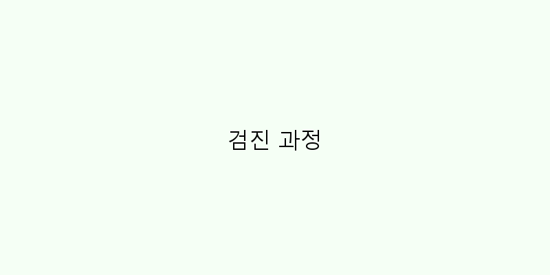 
  검진 과정
 이미지