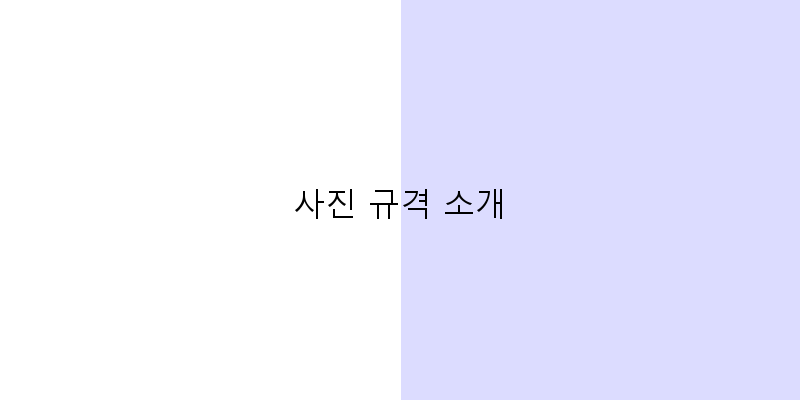 
  사진 규격 소개
 이미지