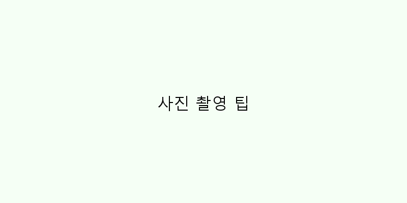 
  사진 촬영 팁
 이미지