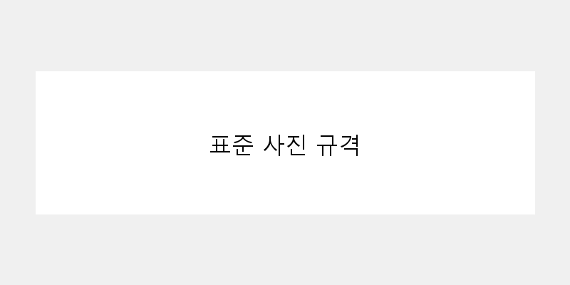 
  표준 사진 규격
 이미지