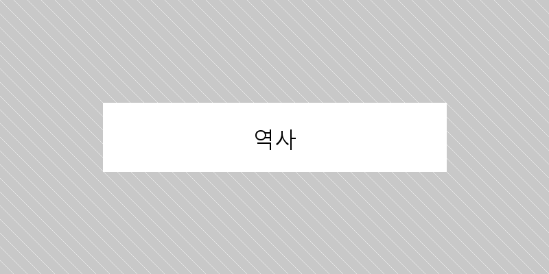 
  역사
 이미지