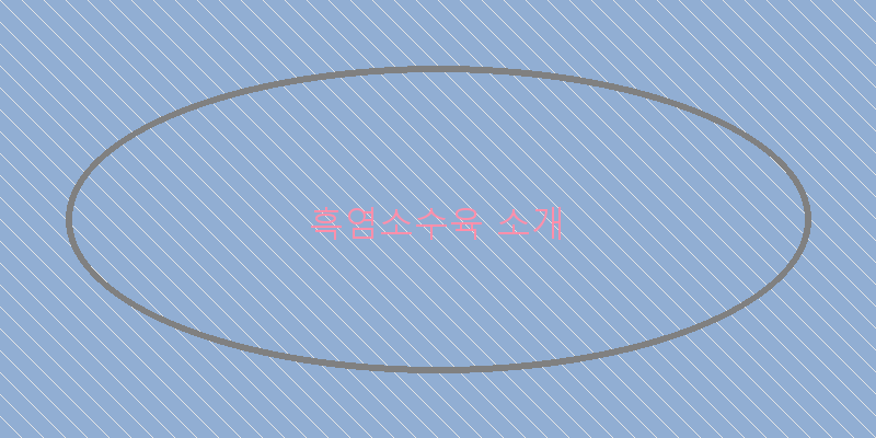 
  흑염소수육 소개
 이미지