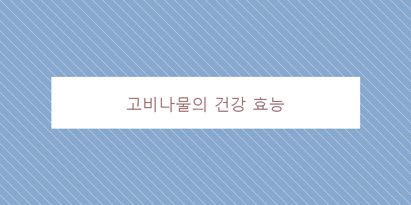 
  고비나물의 건강 효능
 이미지