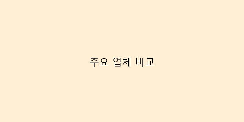 
  주요 업체 비교
 이미지